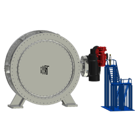 Double Disc Butterfly Valve